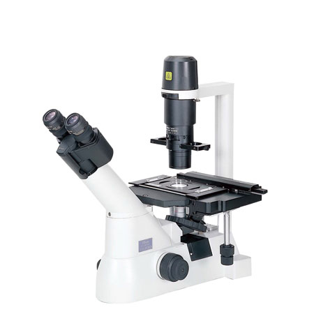 倒置生物显微镜TS100/TS100