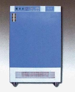 DW-100CL低温试验箱-10℃～65℃