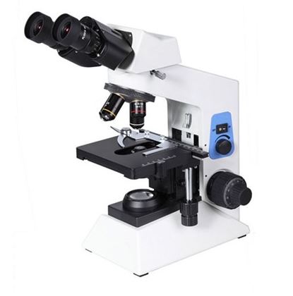 三目生物显微镜WMS-1037