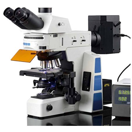 研究型荧光显微镜WMF-3590