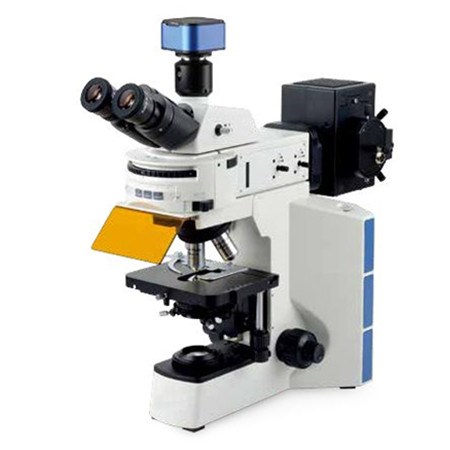 研究型荧光显微镜WMF-3580