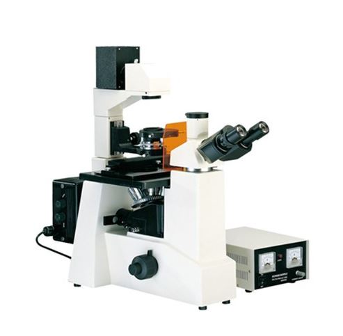 荧光倒置显微镜WMF-3630