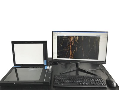 根系图像分析仪系统LA-ST10